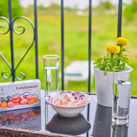 Apartman Angeliki's House *